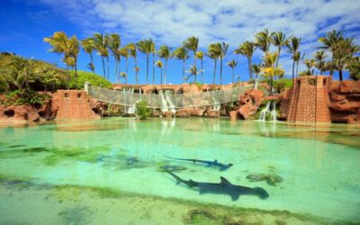 14 atracciones turísticas mejor calificadas en las Bahamas