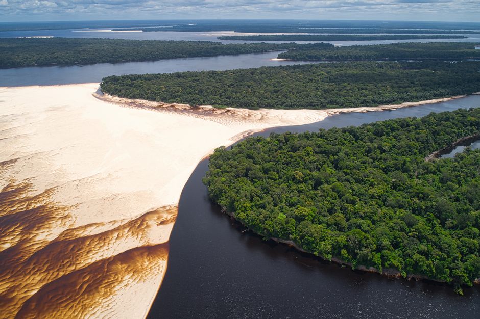Selva amazónica
