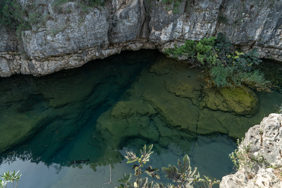 Caño Cristales, el río de los cinco colores
