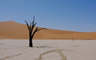 Paisajes de Namibia