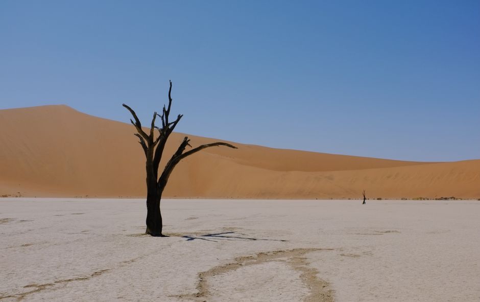 Deadvlei, Sossusvlei