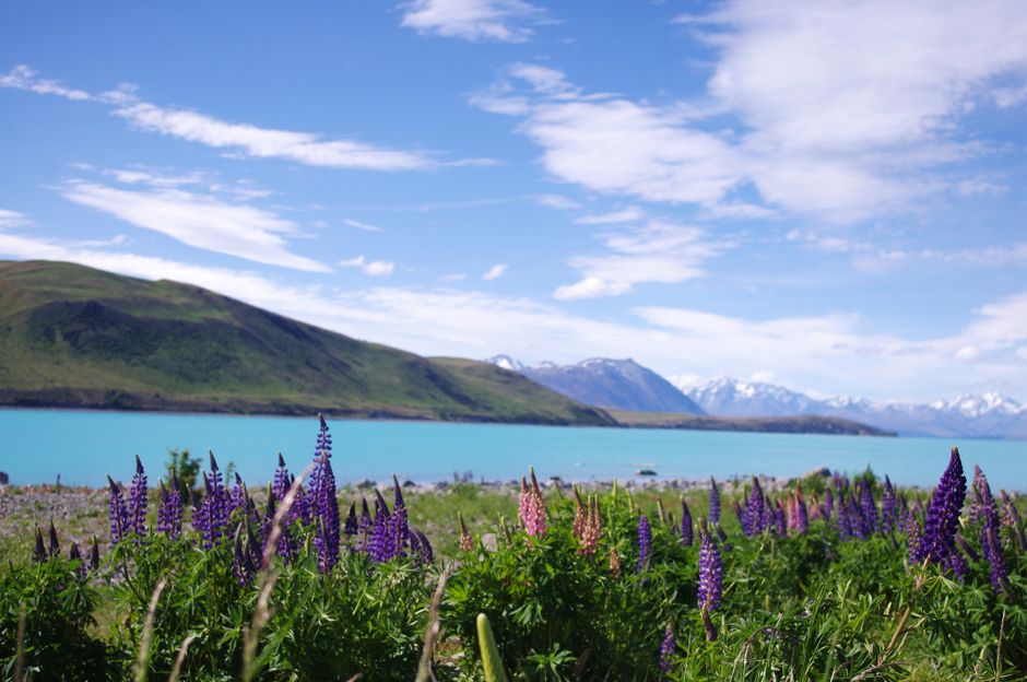 Lago Tekapo