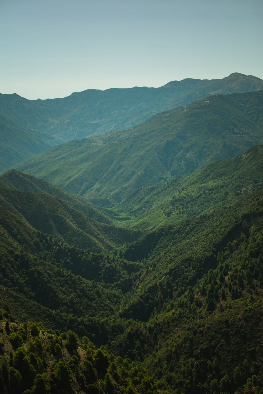 Las montañas de Imatong