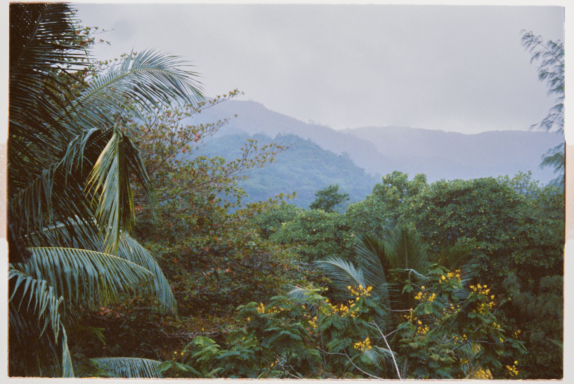 El Parque Natural Obô de Santo Tomé