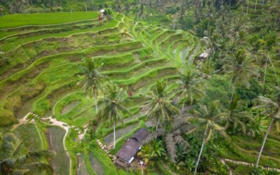 Paisajes de Indonesia