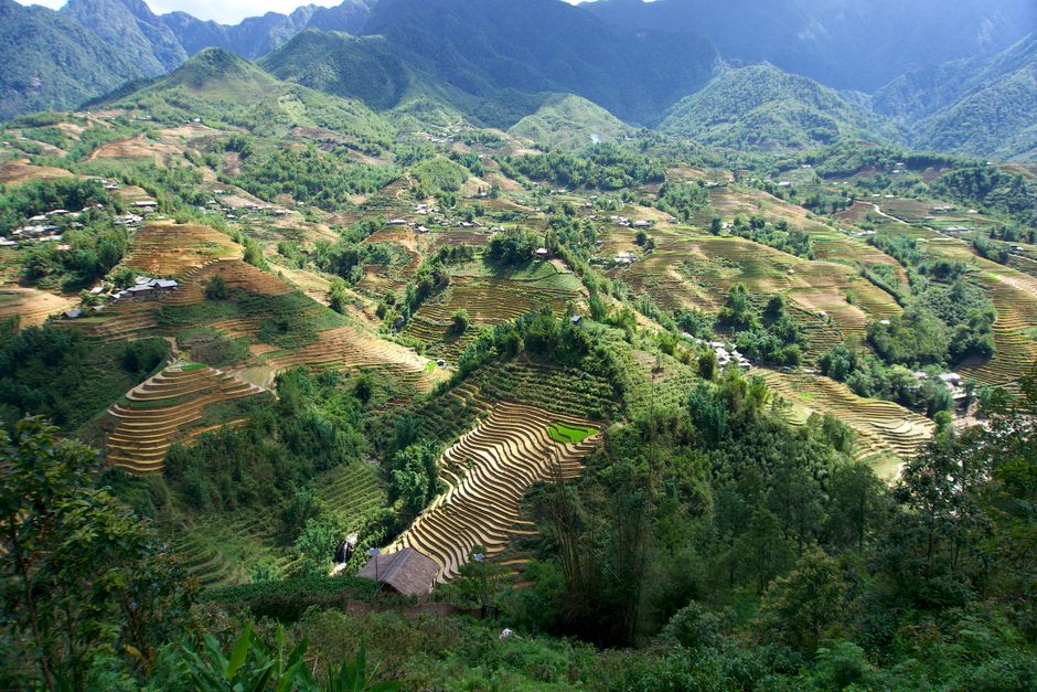 Terrazas de arroz, Sapa