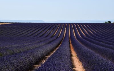 Paisajes de Francia