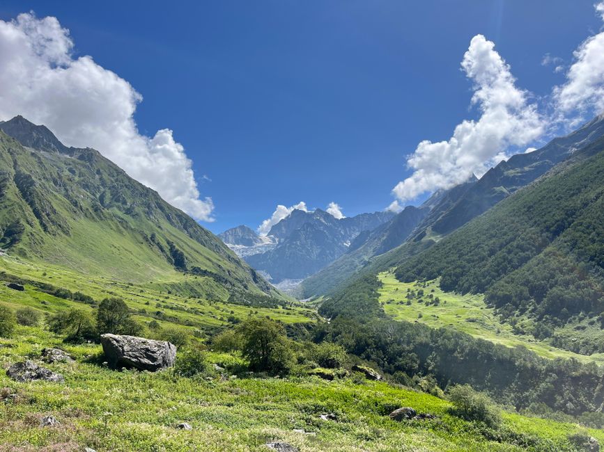 Valle de las Flores, Uttarakhand